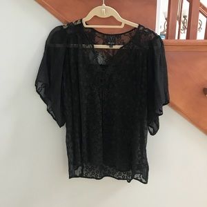 Gorgeous lace Ella moss sheer blouse